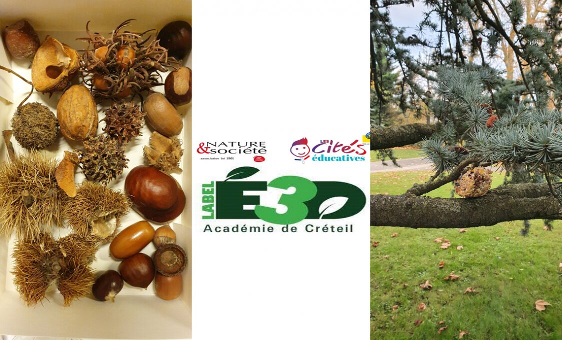Nature et société Nov.2021